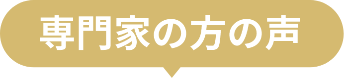 専門家の方の声